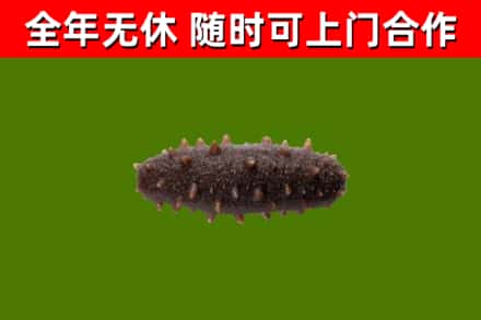 杭州市烟酒回收干海参.jpg
